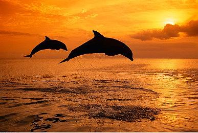 《永劫无间》免费试玩活动再次开启 限时促销活动同步上线